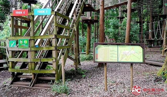 日本亲子游推荐「FOREST ADVENTURE」：享受森林冒险的刺激