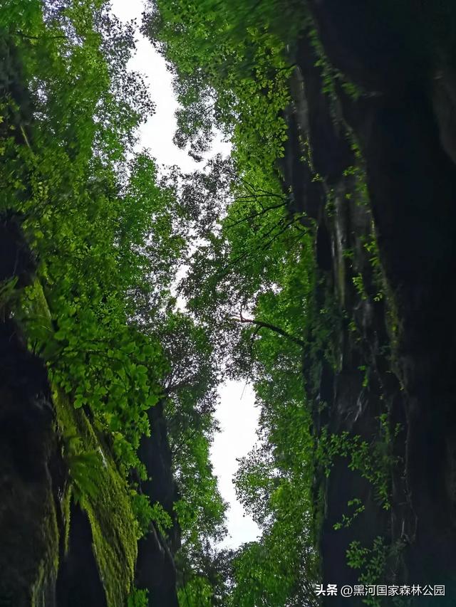 西安2h直达！钻进20℃的“天然空调房”，超全纳凉自驾攻略来了！