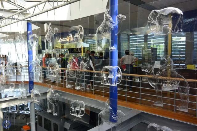 地理冷知识—科隆的巧克力博物馆