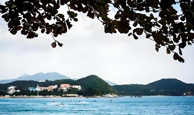 3615万游客涌入！三亚旅居经济爆发，名人扎堆，游客花费破1032亿