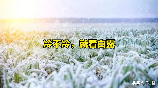 “冷不冷，就看白露”，今日白露，今年冬天会冷吗？看农谚就知道