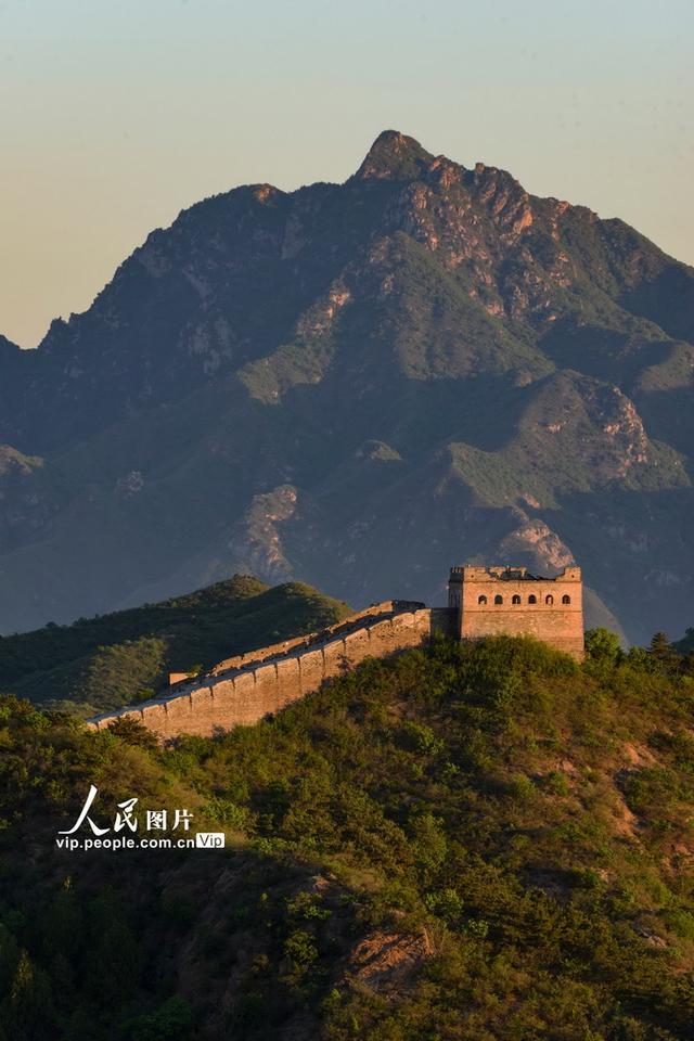 河北滦平：初夏金山岭长城晨景美如画