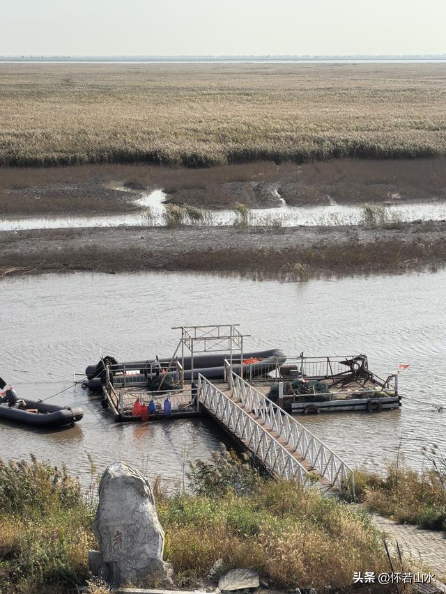 2025辽宁赏秋之旅日记(6)——到辽河口中国最北海岸线看日出 观鸟