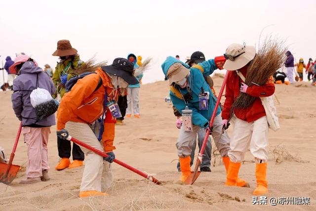 甘肃文旅新玩法大赏！去沙漠种树、当“壁画师”、看万面镜子追太阳……