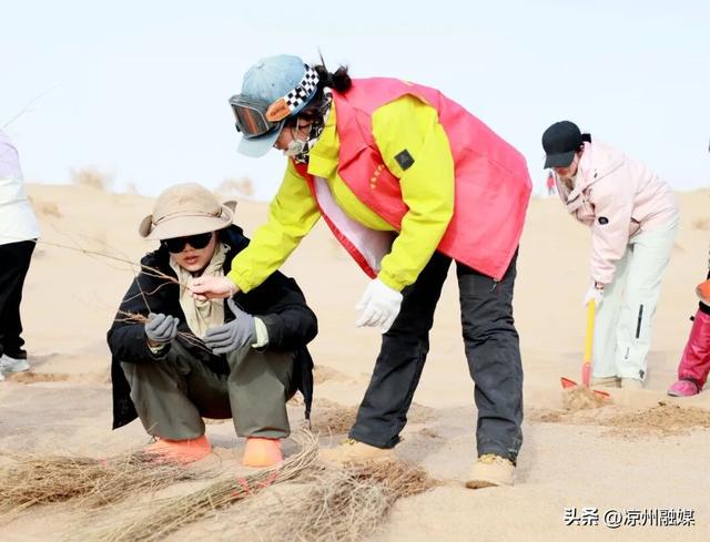 甘肃文旅新玩法大赏！去沙漠种树、当“壁画师”、看万面镜子追太阳……