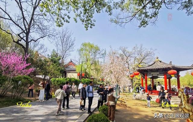 影记 | 春色春景之青州范公亭(上)