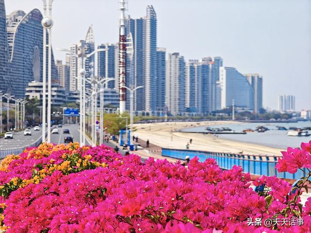 北海最美的环半岛慢行绿道迎来第一春，美爆了！