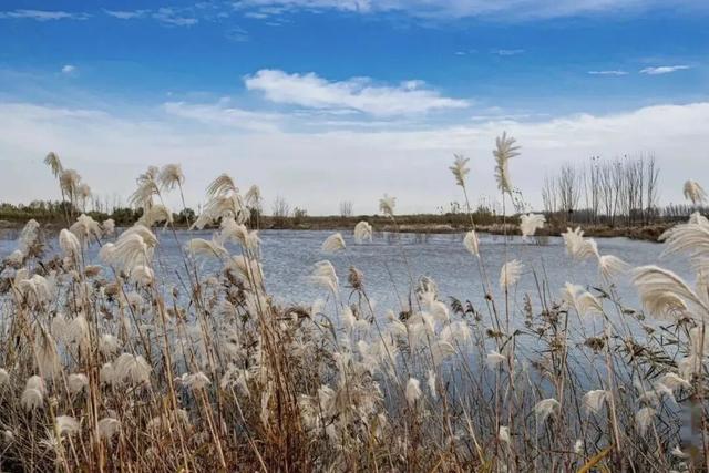 这份“河南冬日色卡”，每一帧都是壁纸