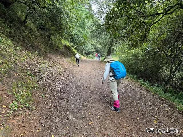 攀登昆明十峰之宜良老爷山,经历密林大雨考验,惊喜交加,难忘