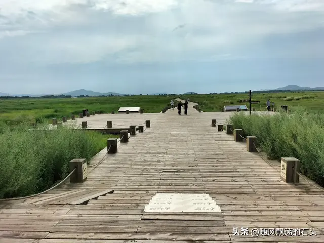 来巴林左旗辽上京遗址一定要看看我的游记