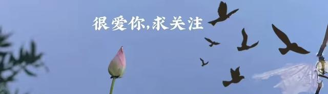 福建大惊喜！永定县悄然刷屏，龙岩厦门都意外，它凭什么火遍全国