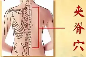 夹脊穴的历史源流和功效作用图片