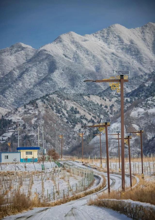 打卡诗意蓝田！私藏宝藏旅游地（三）