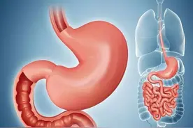 用杂合以治的推拿法调理脾胃，仅需找到这三个穴位，效果立竿见影图片