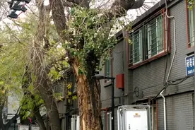 北京老楼原拆原建，老百姓要掏多少钱？图片