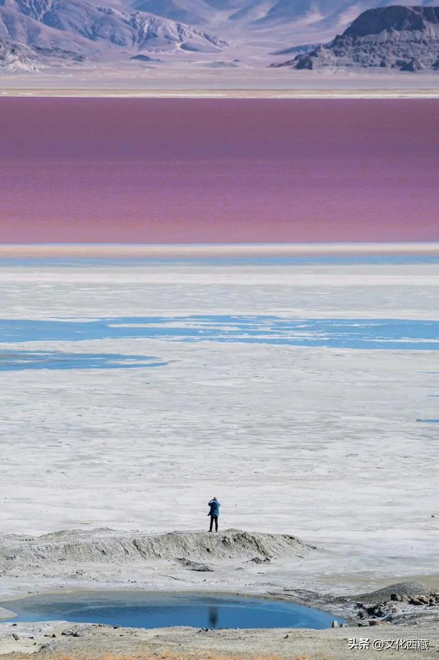 不用去澳大利亚！中国西藏有自己的粉红湖，颜值爆表，人少还免费！