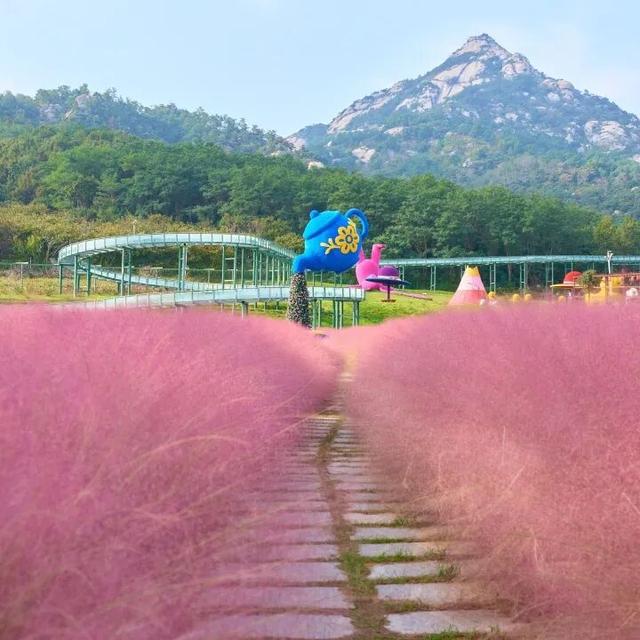 【乳山文旅福利】持乳山南站高铁票，这些景区门票优惠轻松享！