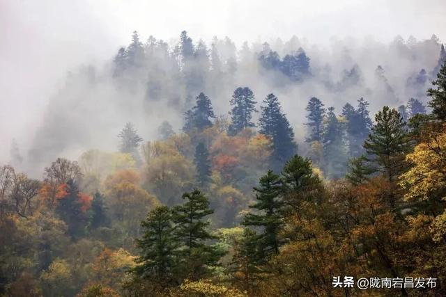 官鹅沟之秋：一场色彩与诗意的狂欢