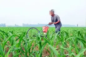 农民骑三轮车在地里被交警扣押，并罚款2000元，法院判决大快人心图片