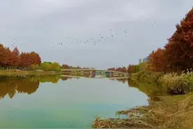 《斯卡布罗集市》：我多么向往这美好的世界图片