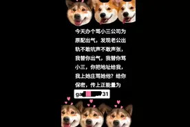 典型案例公布！抖音最新公告图片