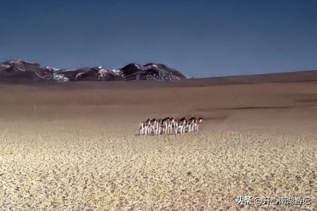 喀什经317到成都，民丰-改则，穿800里无人区，海拔从1500到5400