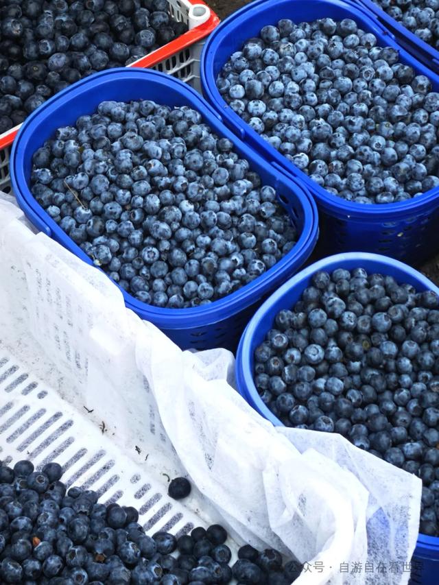 这个大集火爆出圈!