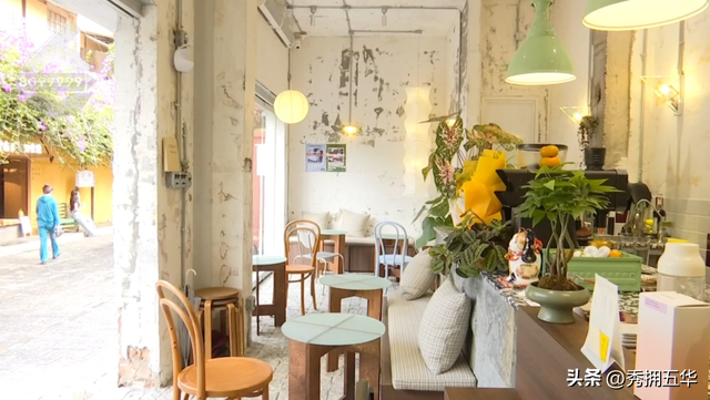 冬日氛围感拉满！跟着香港明星足球队，解锁翠湖海鸥+梧桐黄墙的浪漫剧本