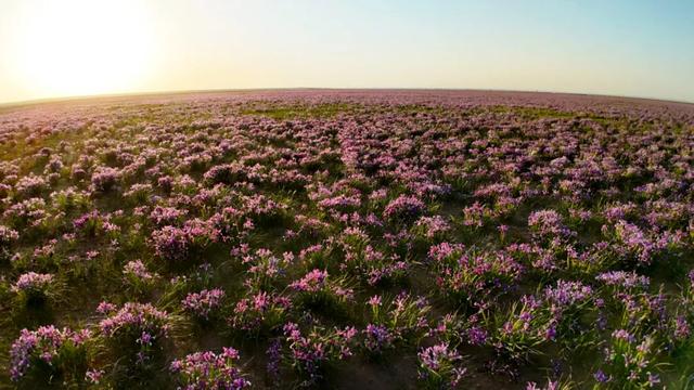 【漠南风】摄影专辑｜行走达茂 定格风光掠影