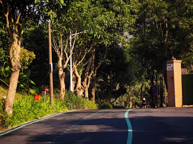 西丽湖绿道骑行随拍