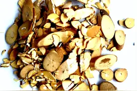 祛风湿药-桑枝图片