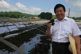 领“菌”致富的“蘑菇院士”图片