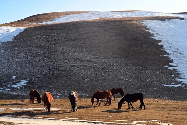 如要选一个冬季最佳拍雪景的地方,首选一定是它