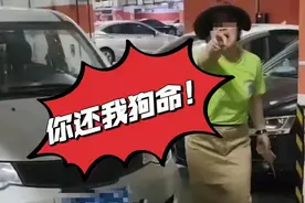 女子遛狗砸车后续，立案两月未见人，车主称：她被自己狗咬住院了图片