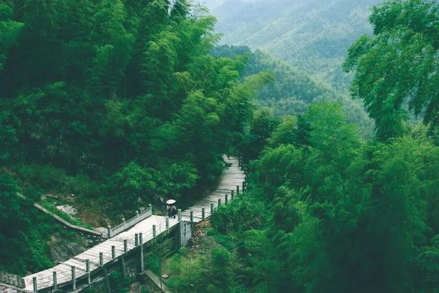 藏不住了！萧山的春天，美到犯规！