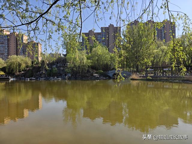 如果你也觉得很累，去赶一趟春吧！