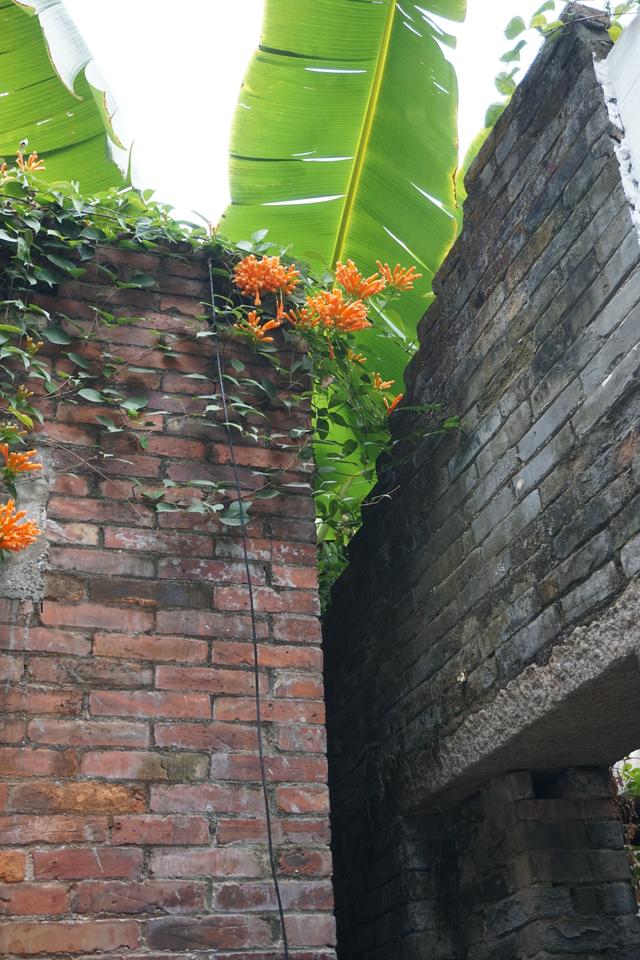 佛山真好逛——大墩村阿志茶空间