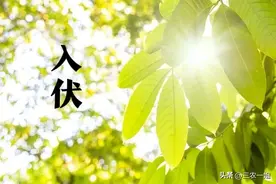 后天入伏，今年入伏不一般，百年不遇，有2个好消息和2个坏消息图片