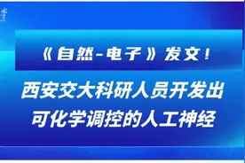 重磅！西安交大最新科研成果！图片