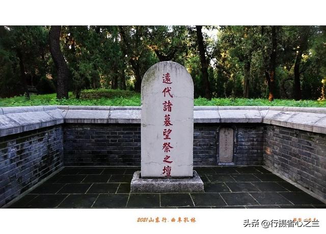 山东行游影记（228）—曲阜孔林（四）