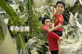 笑喷！粉丝送王皓抱樊振东手办，网友：礼物送到教练心坎上了图片