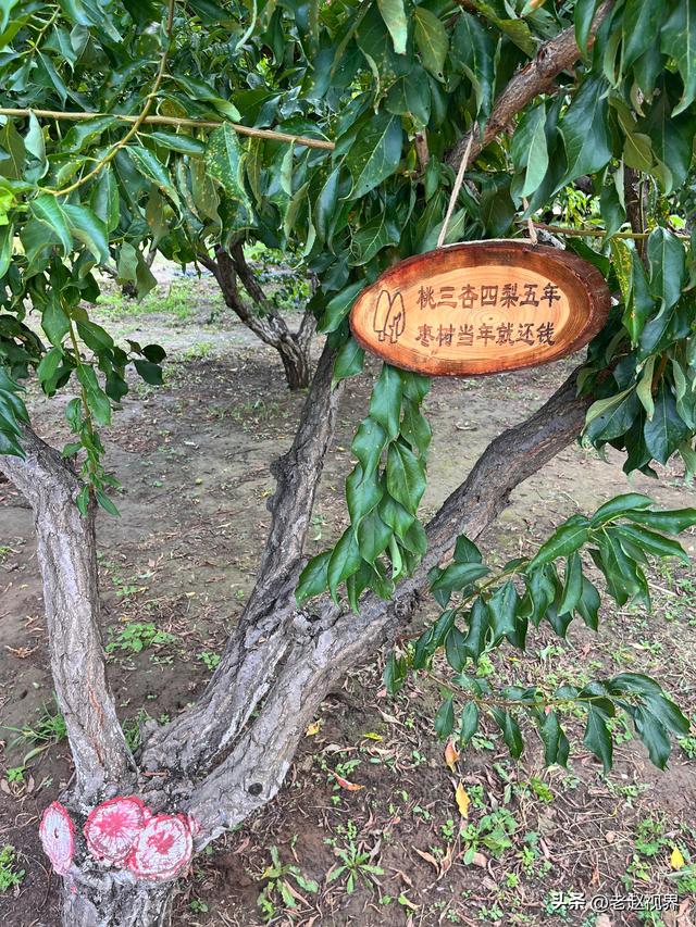 探秘呼和浩特！北疆农牧科技文化园，解锁城市里的田园新玩法！