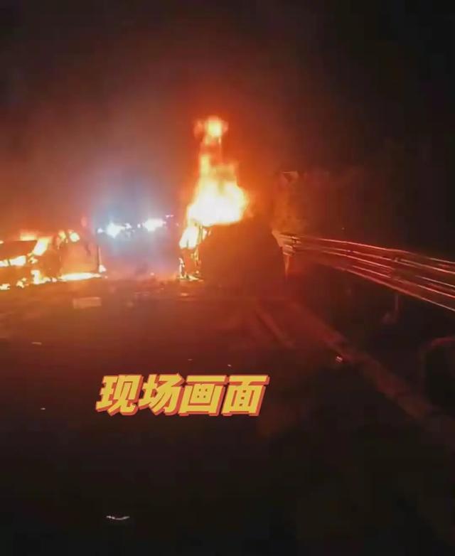 一根树枝夺两命?高速保命动作你做了吗?