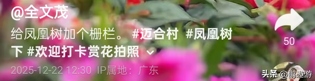 全红婵爸爸用冠军名号赚钱	，把流量变成现实红利，网友评论吵翻天