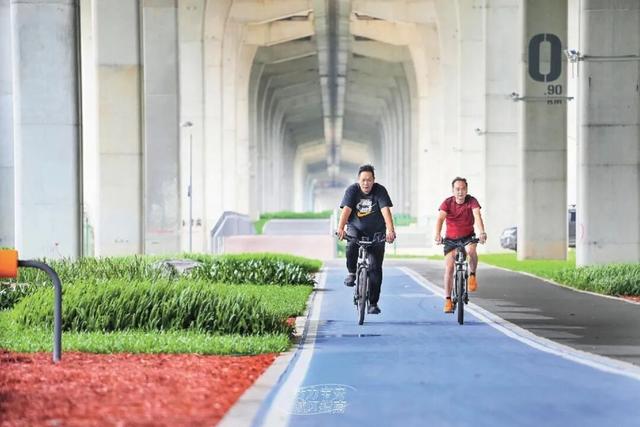 活力宝安城区指南｜山海蓝绿瞬间：山水连城，绿动宝安！