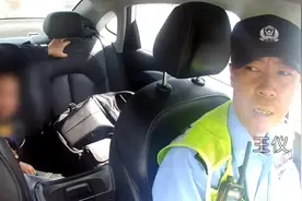 事发上海！“熊娃”早高峰误闯京沪高速，民警这波操作亮了：我女朋友还在找，咋办图片