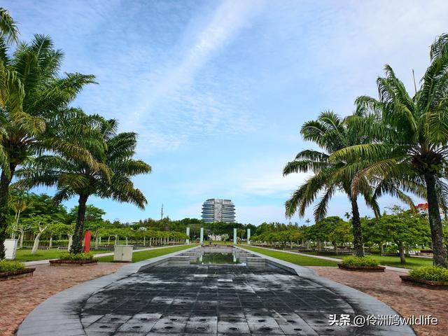 马来西亚(33)砂拉越州⑦美里市加拿大山、海滨公园等