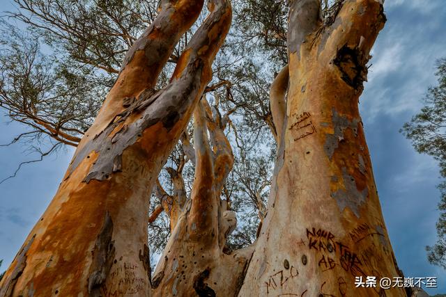 摩洛哥环游记（25）——赫拉克勒斯之洞与斯帕特尔角