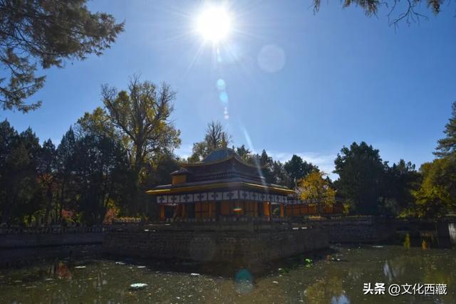 太美了！假如初冬去拉萨，请一定要来这里打卡！