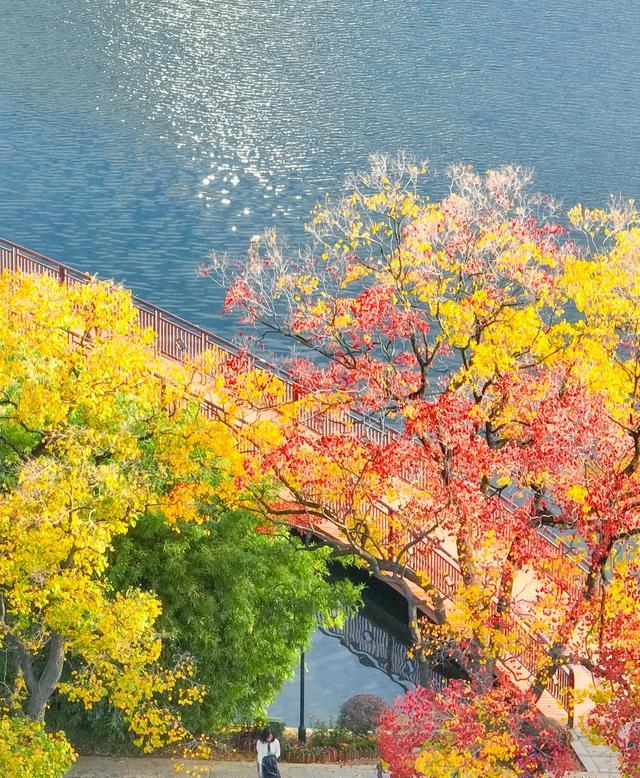 南京又一公园火了，不输玄武湖，地铁直达能从早待到晚